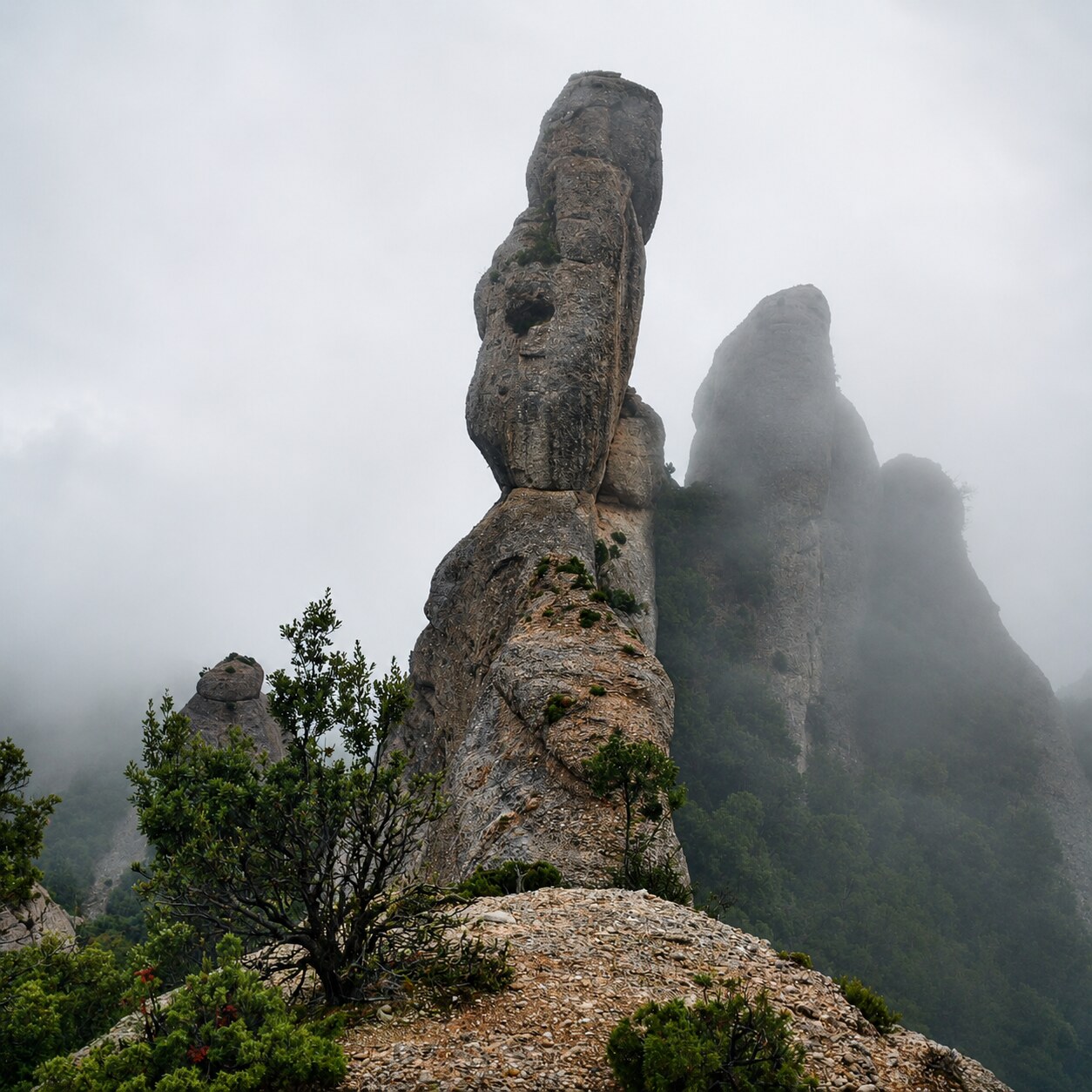 Guided route through the wild side of Montserrat