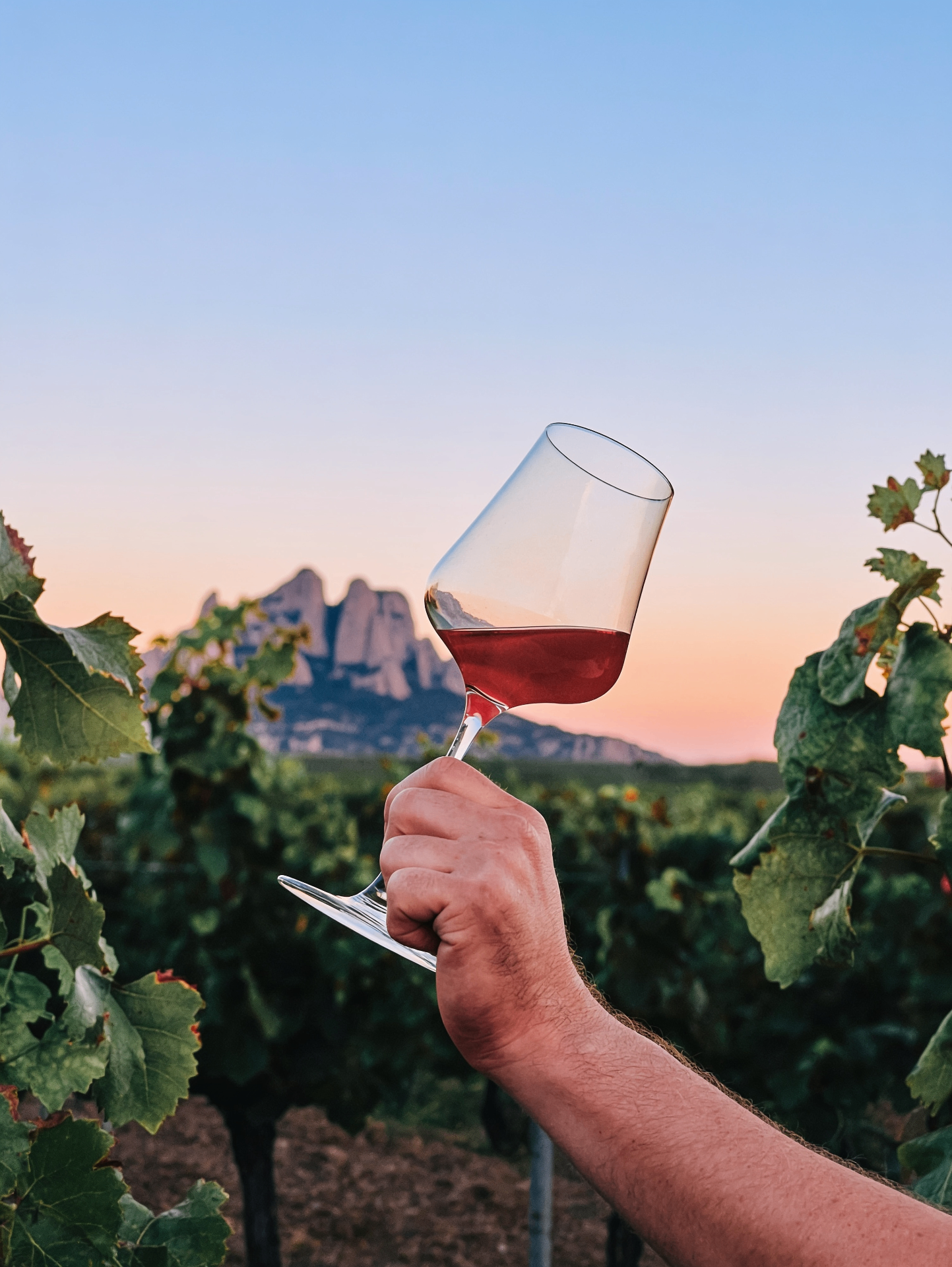 Unique tastings with Montserrat views