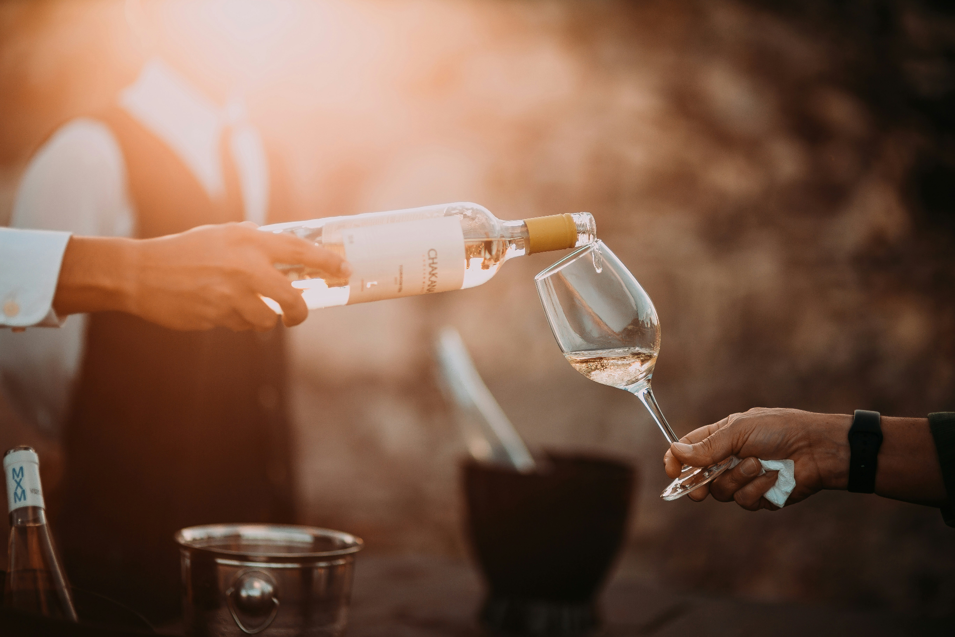 Wine tasting in a Montserrat olive grove