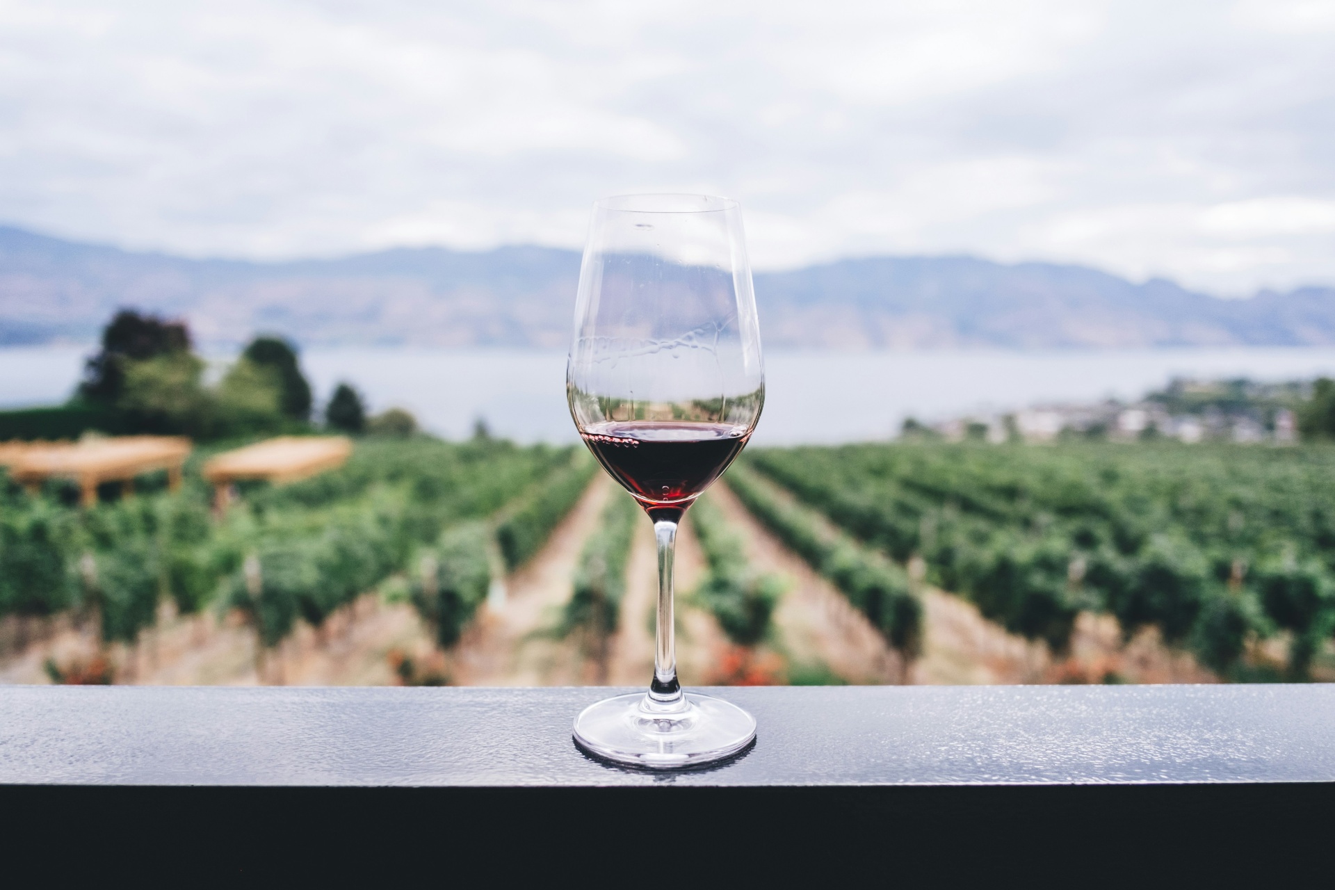 Tastings and pairings with Montserrat views